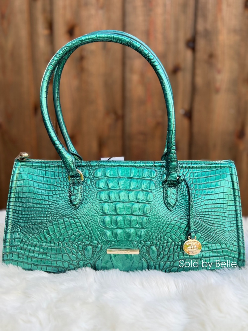 NWT Brahmin Sophia Mystic Green Melbourne Purse